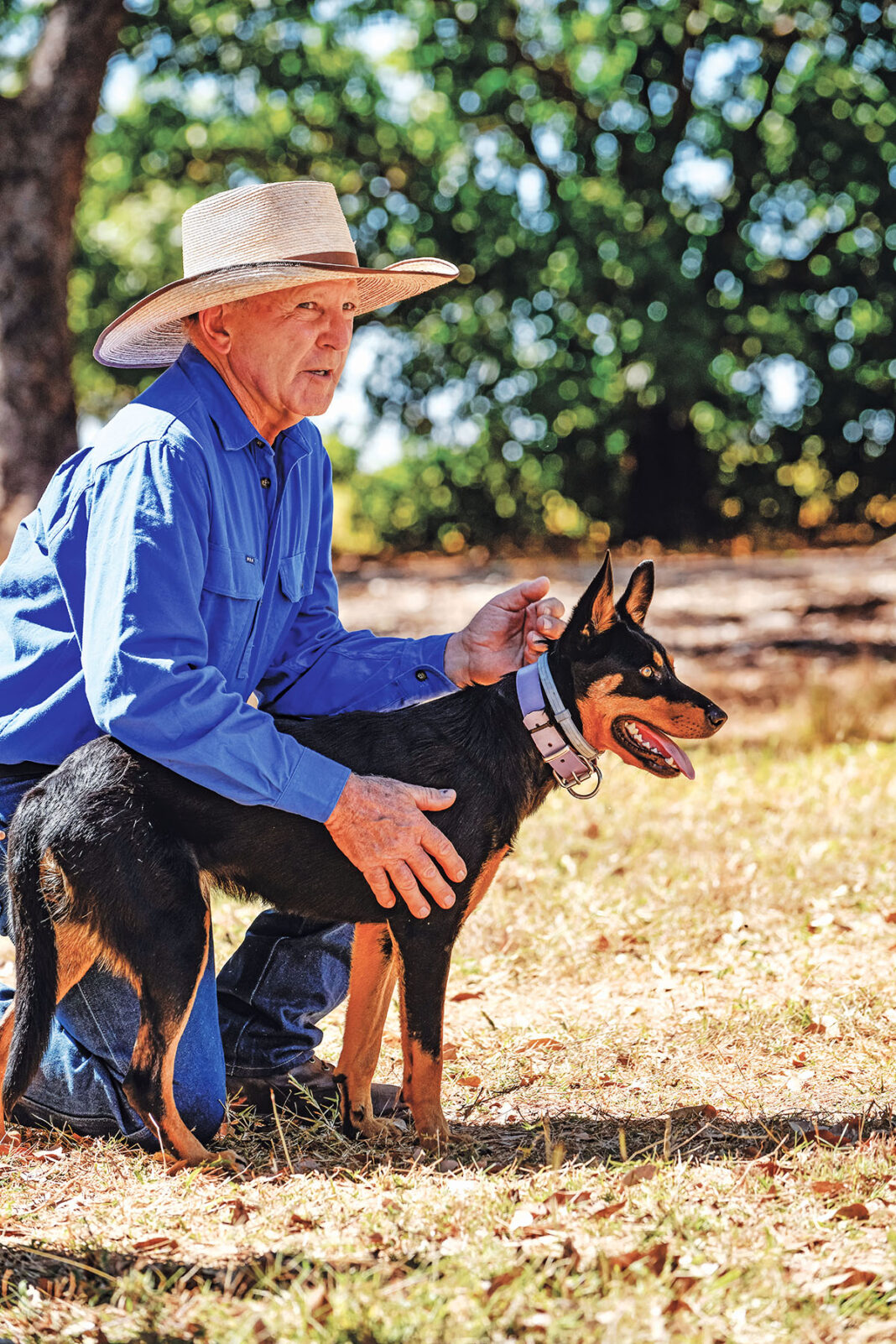 Top dog to make special appearance at popular Casterton kelpie muster